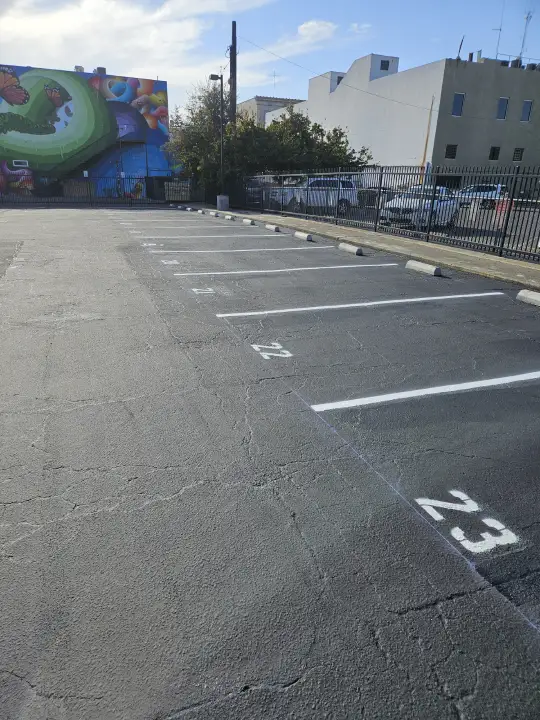 Professional Paving Installation