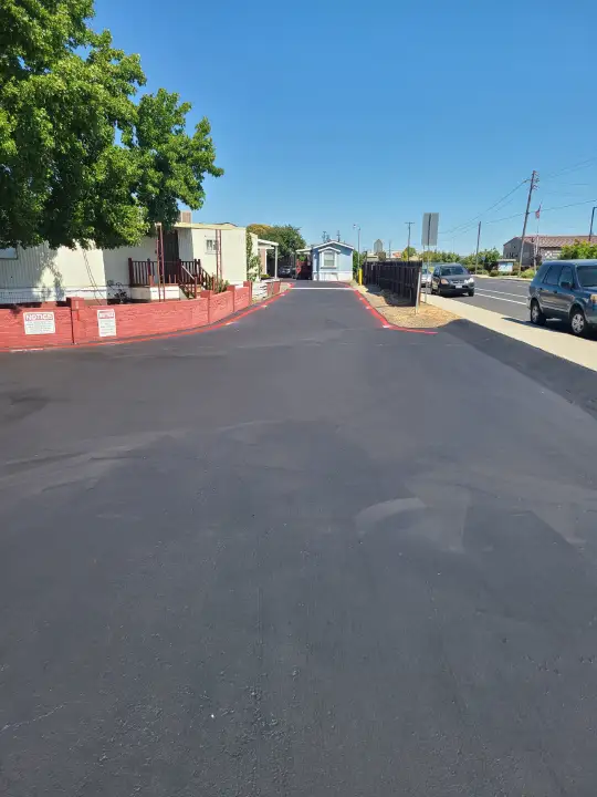 Professional Paving Installation