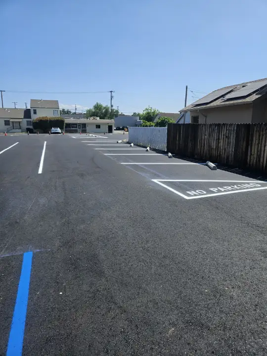 Professional Paving Installation