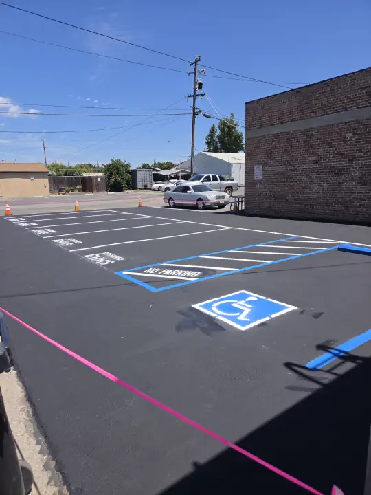 Professional Paving Installation